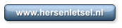 www.hersenletsel.nl