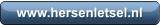 www.hersenletsel.nl